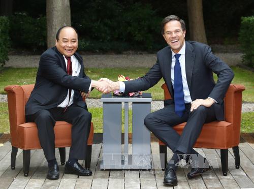 Thủ tướng Nguyễn Xuân Phúc hội đàm với Thủ tướng Hà Lan Mark Rutte